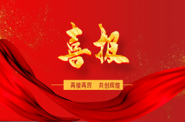 九洲集團上榜2024中國企業(yè)500強名單！